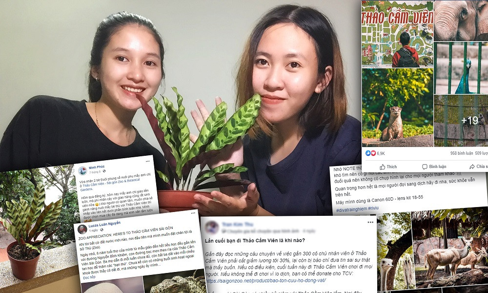 Người trẻ Sài Gòn chung tay “giải cứu” Thảo Cầm Viên ảnh 1