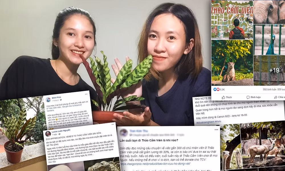 Người trẻ Sài Gòn chung tay “giải cứu” Thảo Cầm Viên ảnh 1