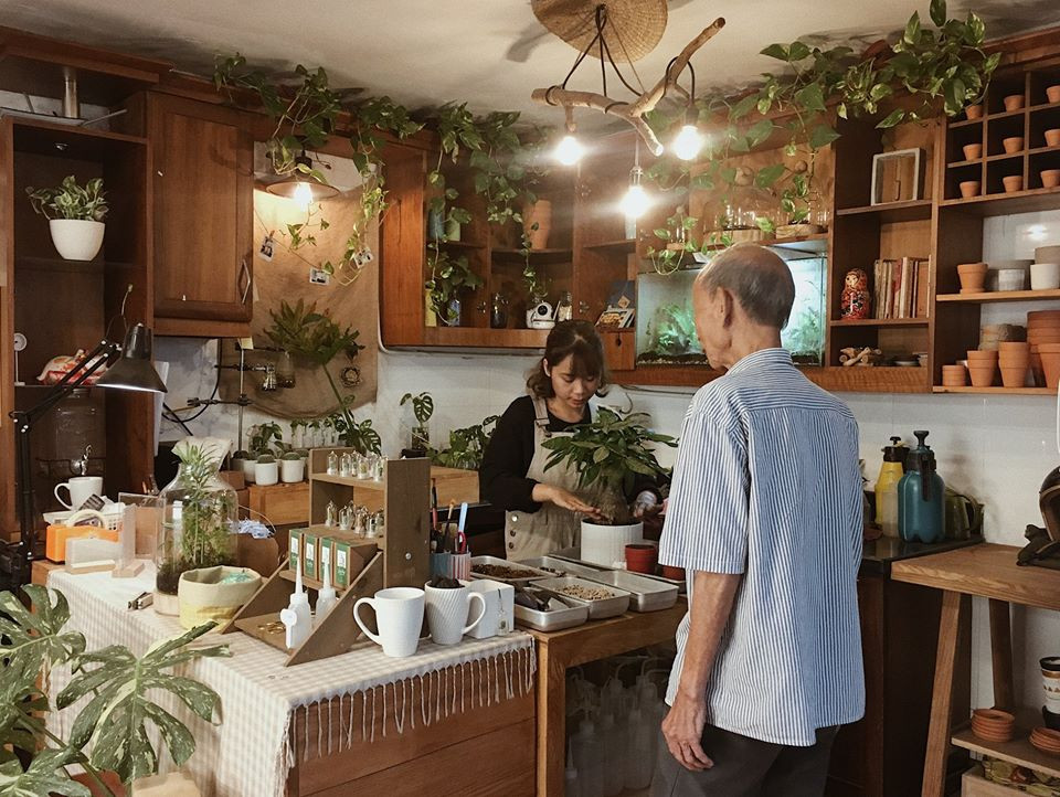  NOTH Garden - những người gieo mầm xanh trong lòng đô thị ảnh 5