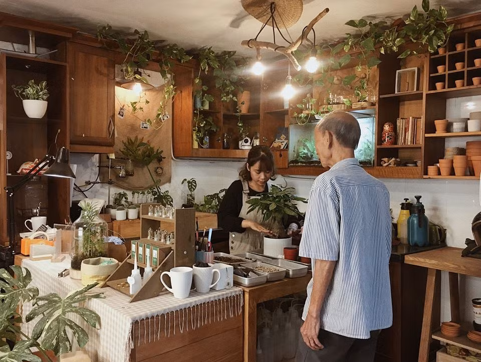  NOTH Garden - những người gieo mầm xanh trong lòng đô thị ảnh 5