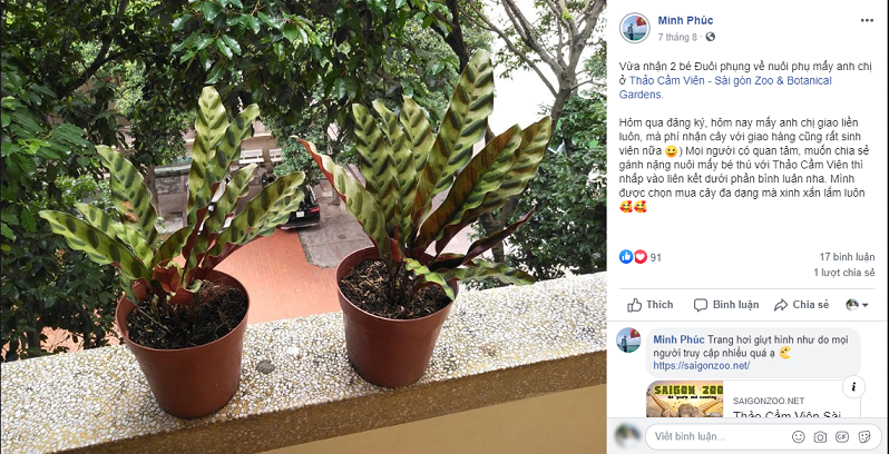 Người trẻ Sài Gòn chung tay “giải cứu” Thảo Cầm Viên ảnh 2