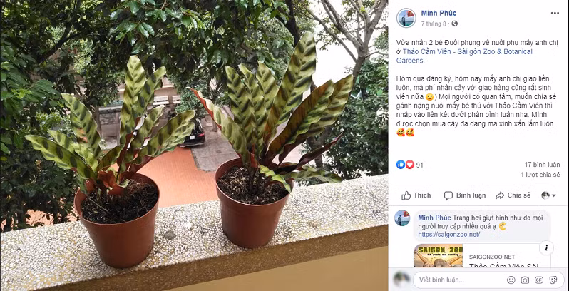 Người trẻ Sài Gòn chung tay “giải cứu” Thảo Cầm Viên ảnh 2