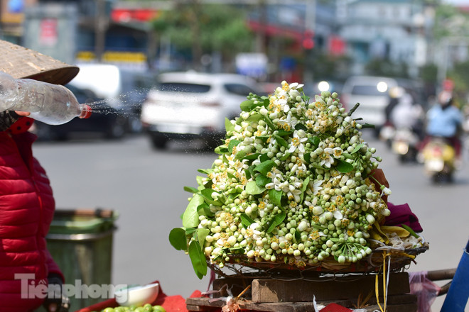Hoa bưởi dịu dàng ngày xuân, nét chấm phá cho phố phường Hà Nội ảnh 9