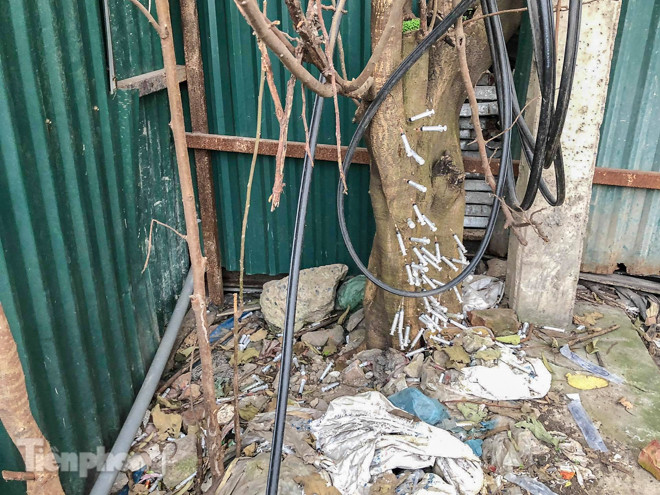 Ám ảnh cây 'xi lanh' dính máu ngay giữa Hà Nội ảnh 2