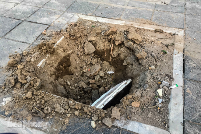 Hàng cây mới trồng khô héo trên đường ‘trăm tỷ’ bị chặt hạ làm củi ảnh 3