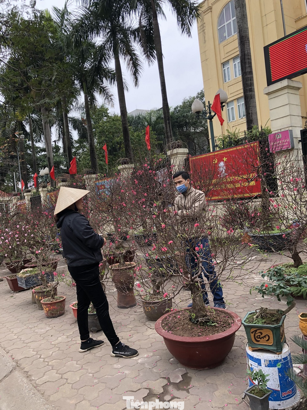 Dịch COVID-19 bùng phát, tiểu thương bán hoa Tết đồng loạt treo biển xả hàng ảnh 6