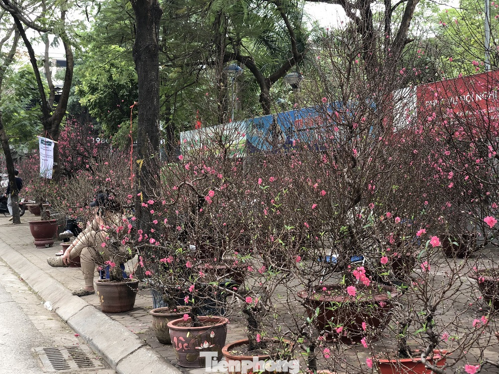 Dịch COVID-19 bùng phát, tiểu thương bán hoa Tết đồng loạt treo biển xả hàng ảnh 7