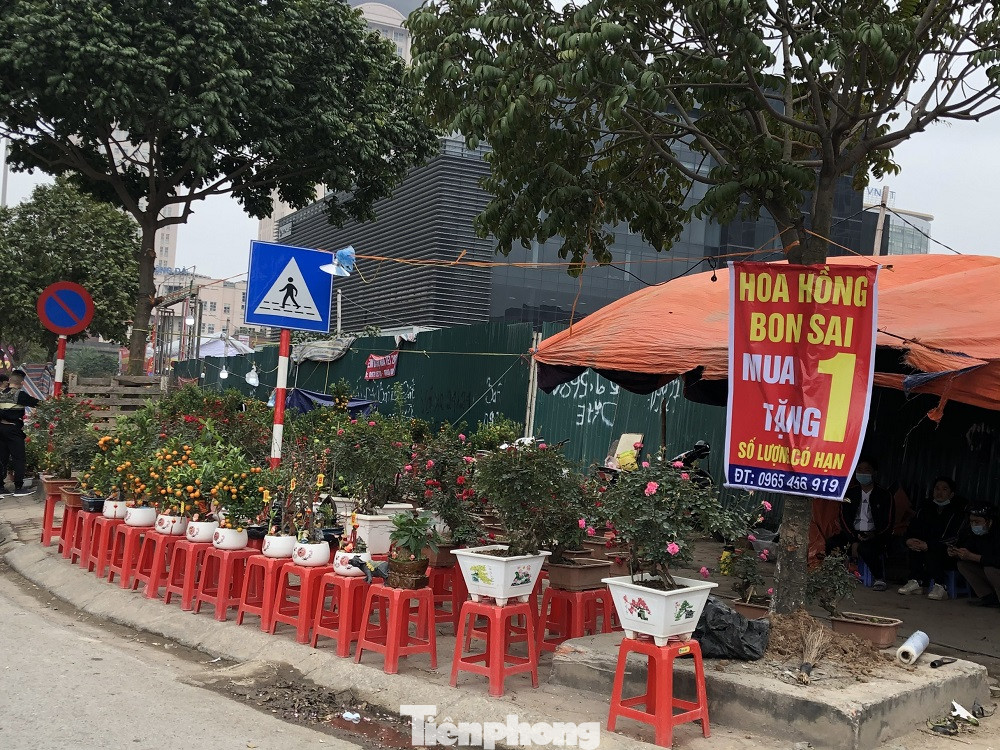 Dịch COVID-19 bùng phát, tiểu thương bán hoa Tết đồng loạt treo biển xả hàng ảnh 10