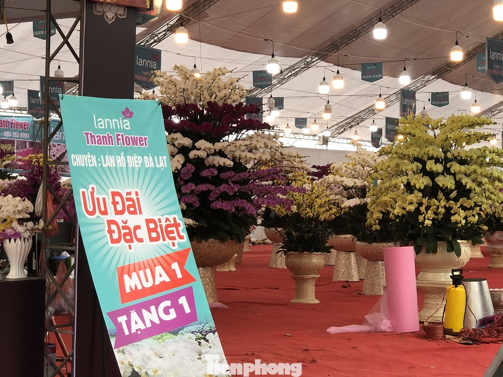 Dịch COVID-19 bùng phát, tiểu thương bán hoa Tết đồng loạt treo biển xả hàng ảnh 1