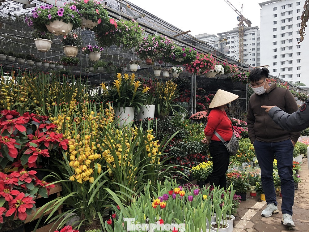 Dịch COVID-19 bùng phát, tiểu thương bán hoa Tết đồng loạt treo biển xả hàng ảnh 5