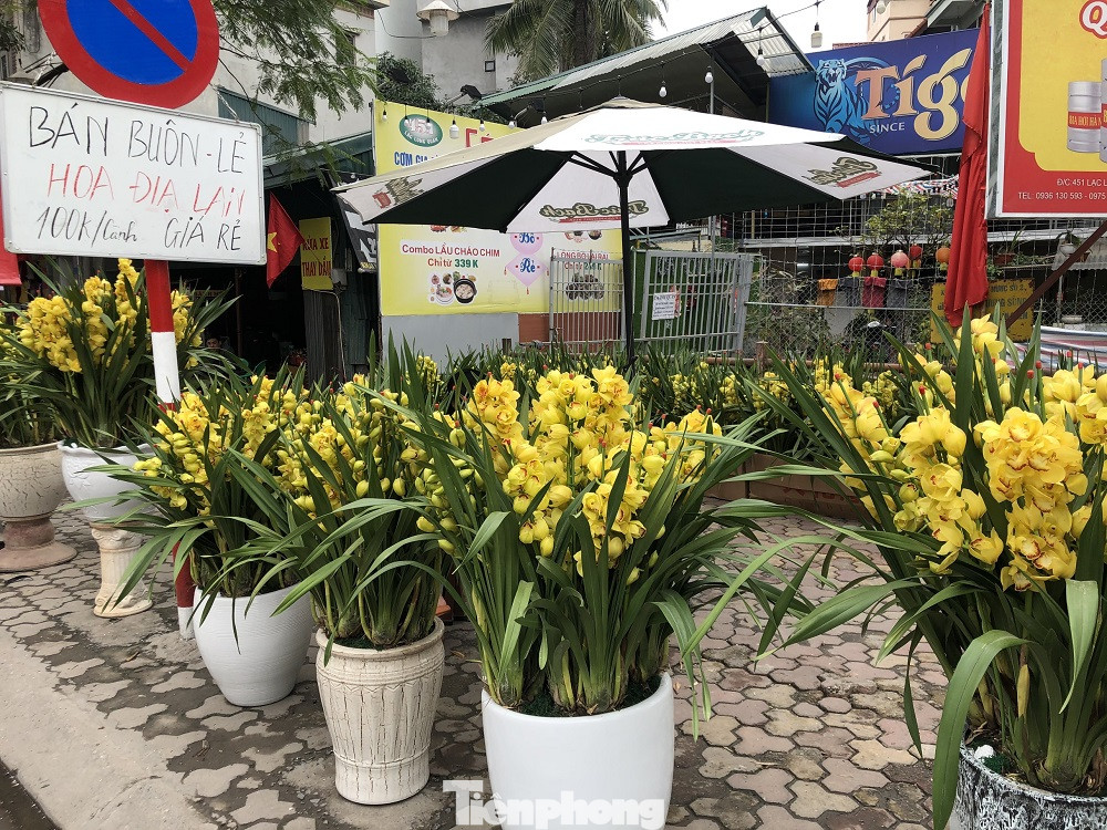 Dịch COVID-19 bùng phát, tiểu thương bán hoa Tết đồng loạt treo biển xả hàng ảnh 2