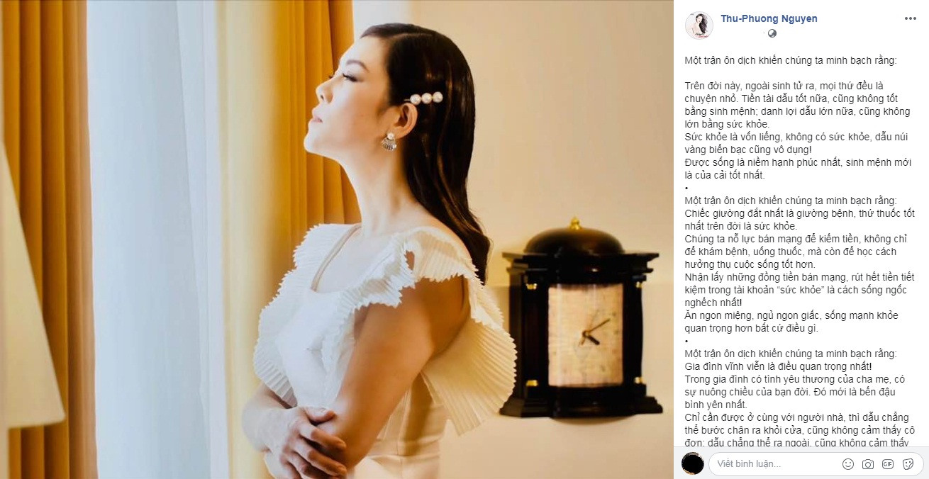 Sao Việt ở Mỹ chống chọi ra sao giữa mùa dịch Covid-19? ảnh 7