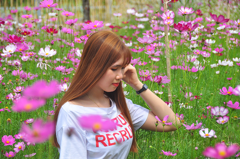  Vườn hoa thơ mộng đẹp 'hút hồn' bạn trẻ ở Cần Thơ ảnh 2