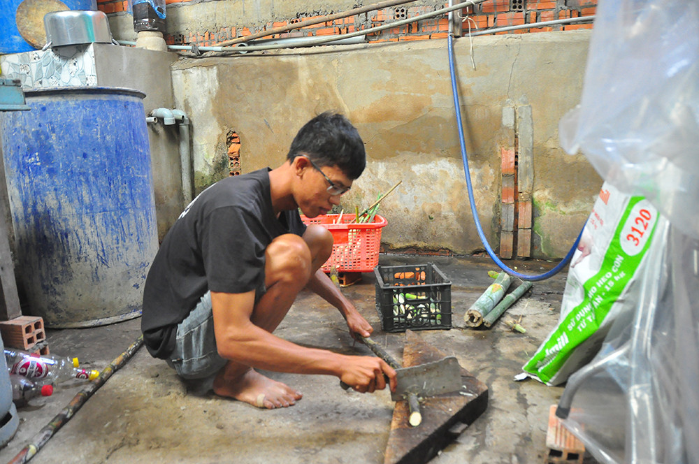 Cận cảnh trang trại nuôi dúi của chàng sinh viên An Giang ảnh 12