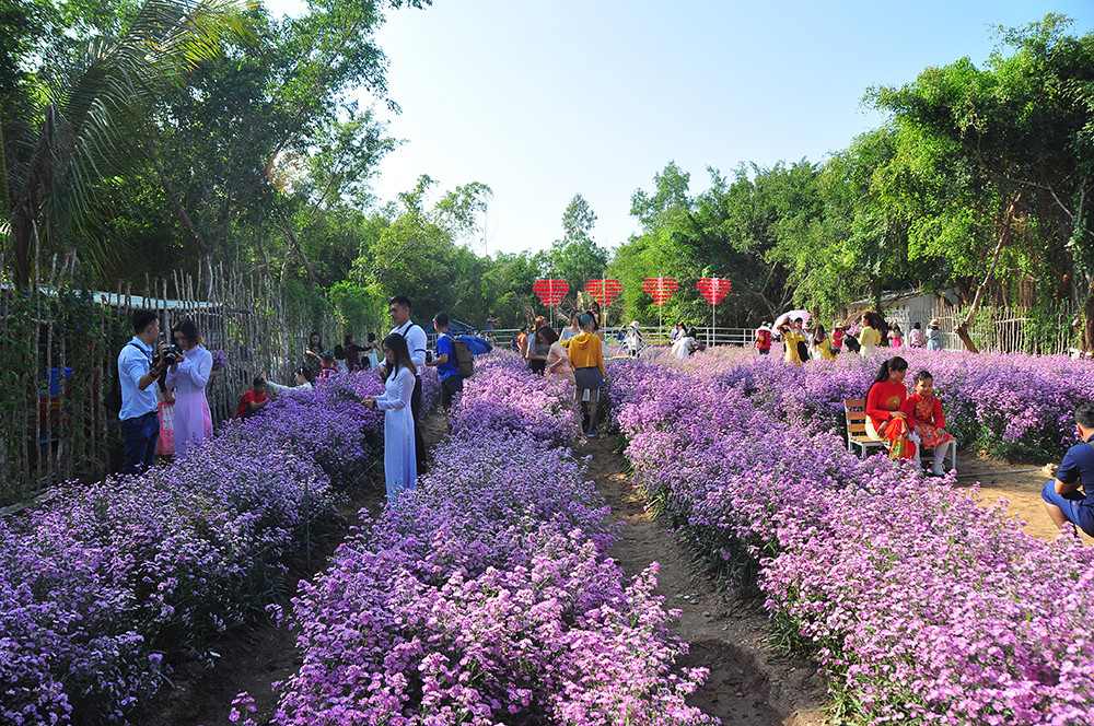 'Đà Lạt thu nhỏ' thu hút giới trẻ Tây Đô ảnh 10