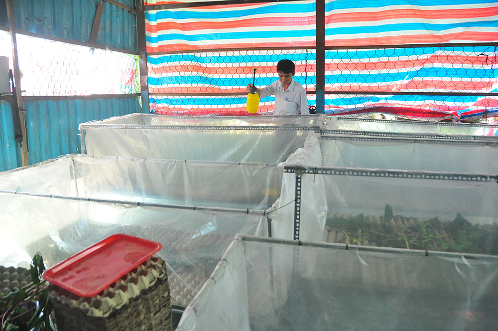 Cận cảnh trang trại dế của thủ lĩnh đoàn ở cù lao ảnh 4