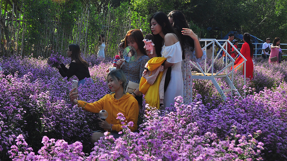 'Đà Lạt thu nhỏ' thu hút giới trẻ Tây Đô ảnh 12