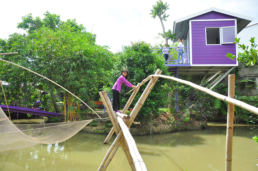 Căn nhà màu tím độc đáo ở Cần Thơ hút khách đến 'check-in' ảnh 7