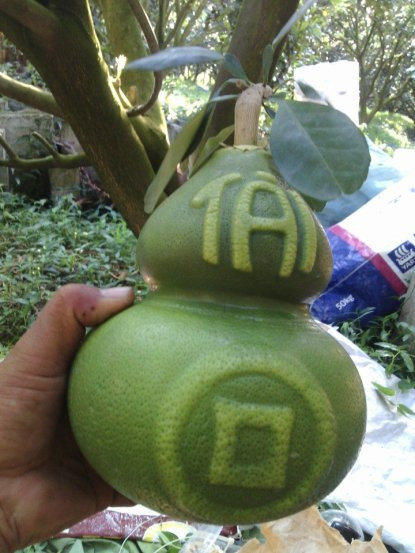 Trái cây tạo hình khan hiếm hàng phục vụ thị trường Tết ảnh 4