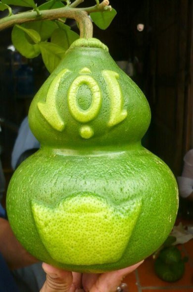 Trái cây tạo hình khan hiếm hàng phục vụ thị trường Tết ảnh 3 Trái cây tạo hình khan hiếm hàng phục vụ thị trường Tết ảnh 3