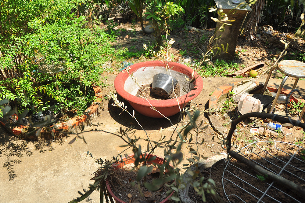 Cận cảnh người dân quay cuồng với hạn mặn khốc liệt chưa từng có ở ĐBSCL ảnh 11