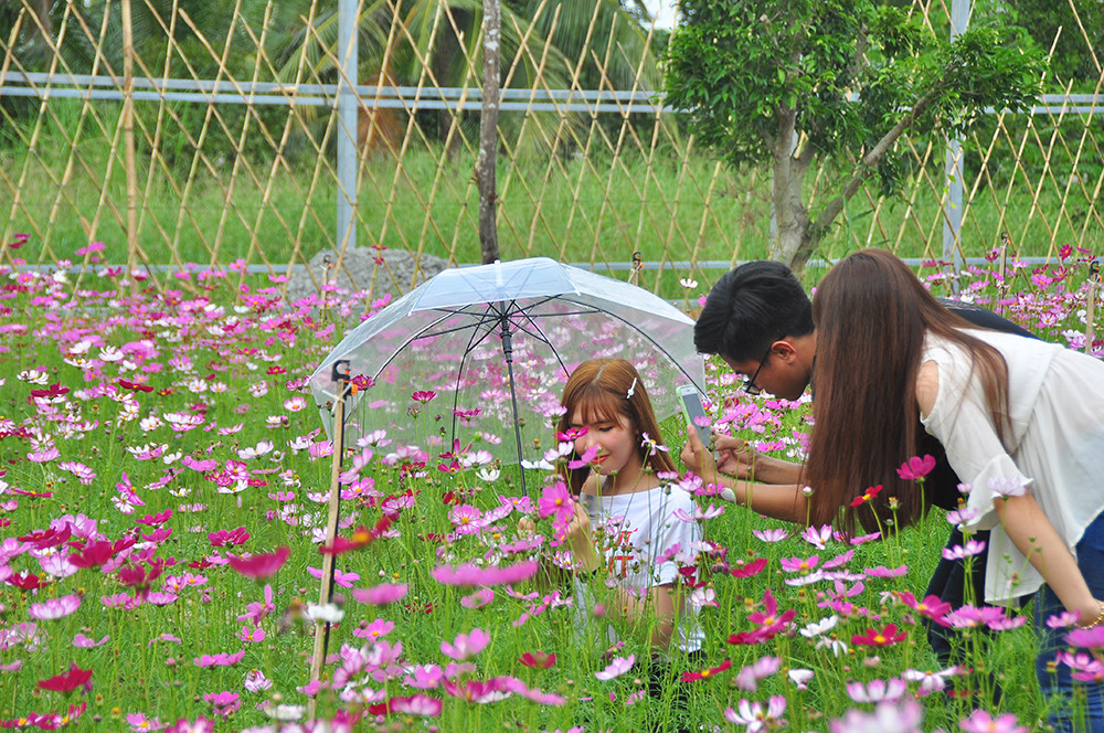  Vườn hoa thơ mộng đẹp 'hút hồn' bạn trẻ ở Cần Thơ ảnh 4