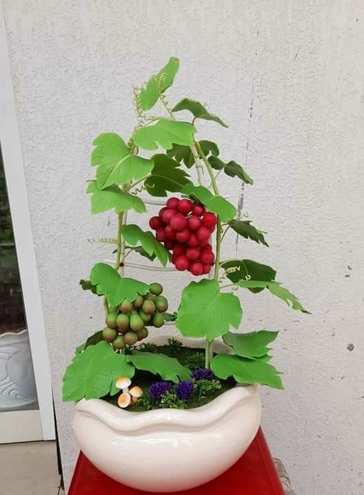 Tình yêu hoa từ... đất của nữ thạc sỹ 9X ở Cần Thơ ảnh 13