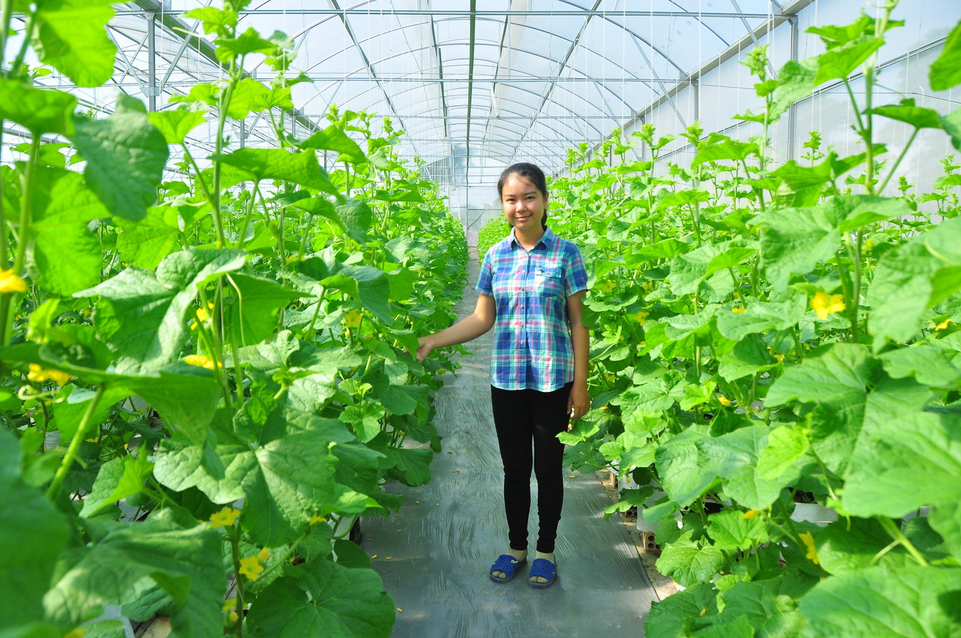 An Giang hỗ trợ hơn nửa tỷ đồng cho bạn trẻ vay vốn khởi nghiệp ​ ảnh 2