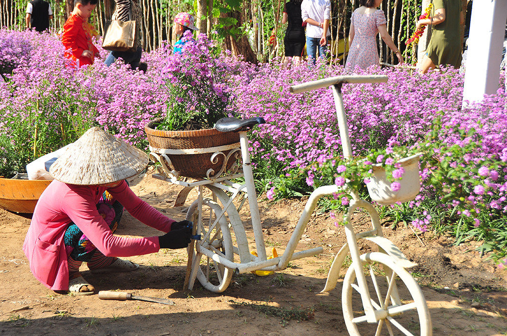 'Đà Lạt thu nhỏ' thu hút giới trẻ Tây Đô ảnh 19