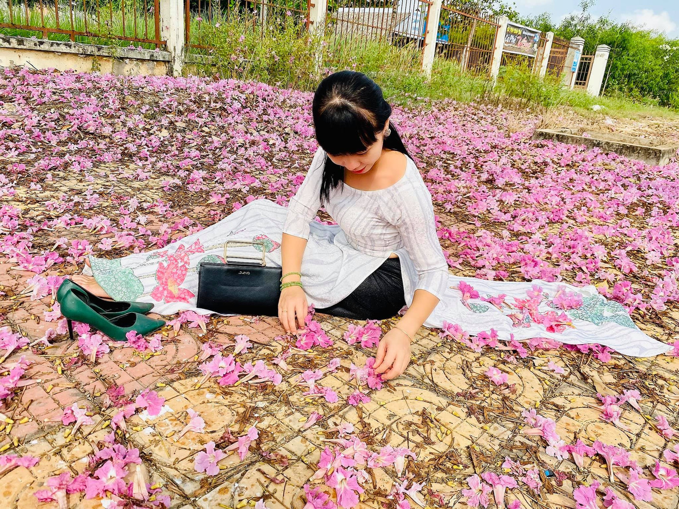 Con đường hoa kèn hồng ở miền Tây lung linh như phim Hàn thu hút giới trẻ ảnh 13