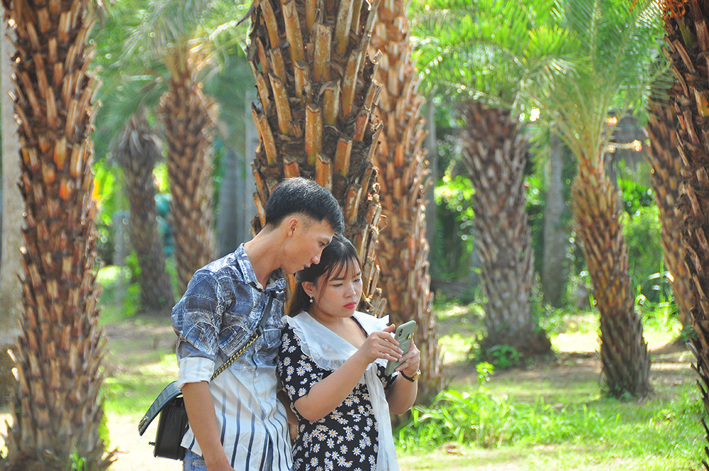 Giới trẻ thích thú vẻ đẹp vườn chà là sum suê trái ở miền Tây ảnh 14