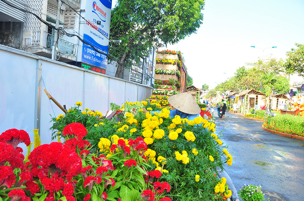 Đường hoa xuân Cần Thơ được làm từ 85 nghìn chậu phục vụ du khách ảnh 11