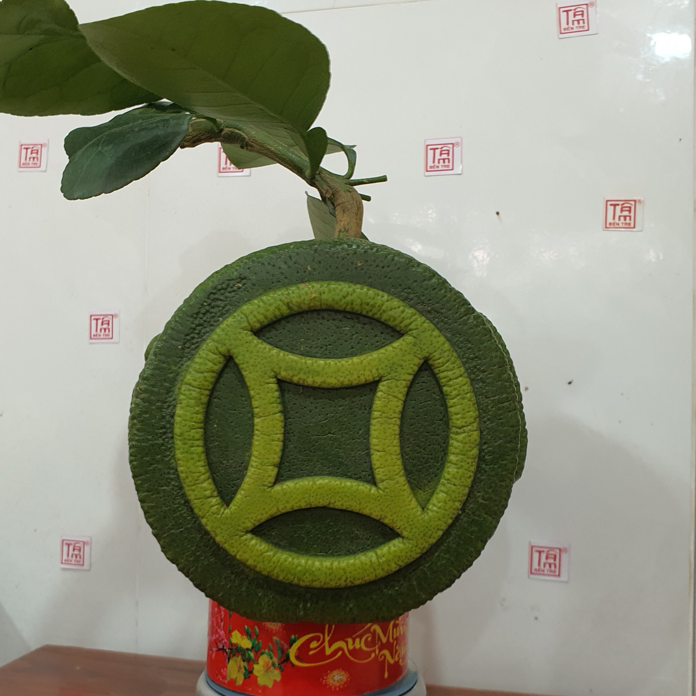 Trái cây tạo hình khan hiếm hàng phục vụ thị trường Tết ảnh 15