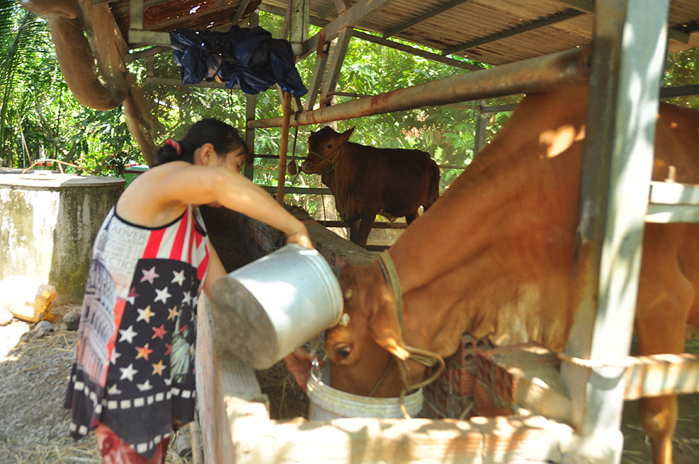 Cận cảnh người dân quay cuồng với hạn mặn khốc liệt chưa từng có ở ĐBSCL ảnh 7