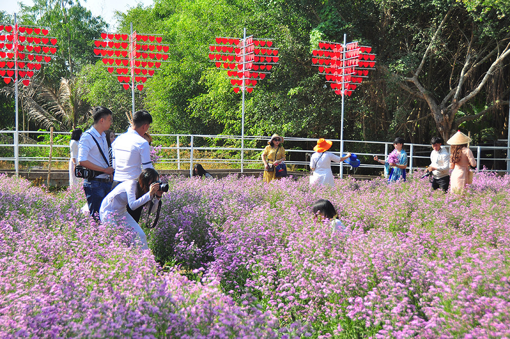 'Đà Lạt thu nhỏ' thu hút giới trẻ Tây Đô ảnh 17