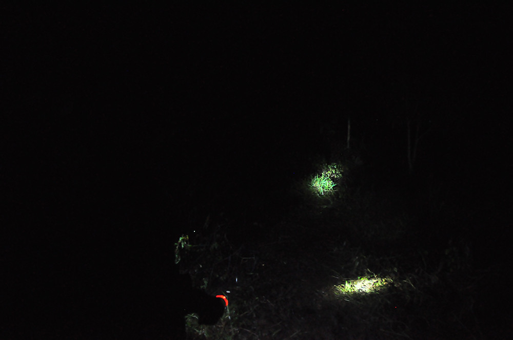 Chiến sỹ biên phòng trắng đêm phòng dịch nơi cửa ngõ biên cương ảnh 6