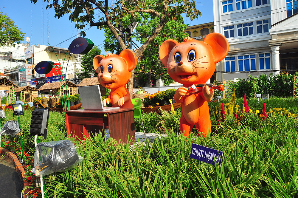 Đường hoa xuân Cần Thơ được làm từ 85 nghìn chậu phục vụ du khách ảnh 9