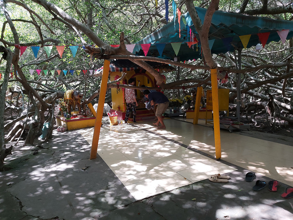 Giàn gừa 'độc nhất vô nhị' ở miền Tây ảnh 10