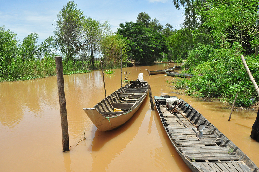 Dân đầu nguồn Đồng Tháp mỏi mòn chờ lũ ảnh 2