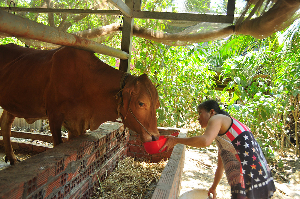 Cận cảnh người dân quay cuồng với hạn mặn khốc liệt chưa từng có ở ĐBSCL ảnh 8