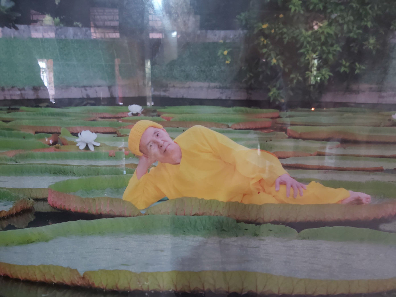 Lá sen 'độc nhất vô nhị' ở Việt Nam, người đứng lên không chìm ảnh 7