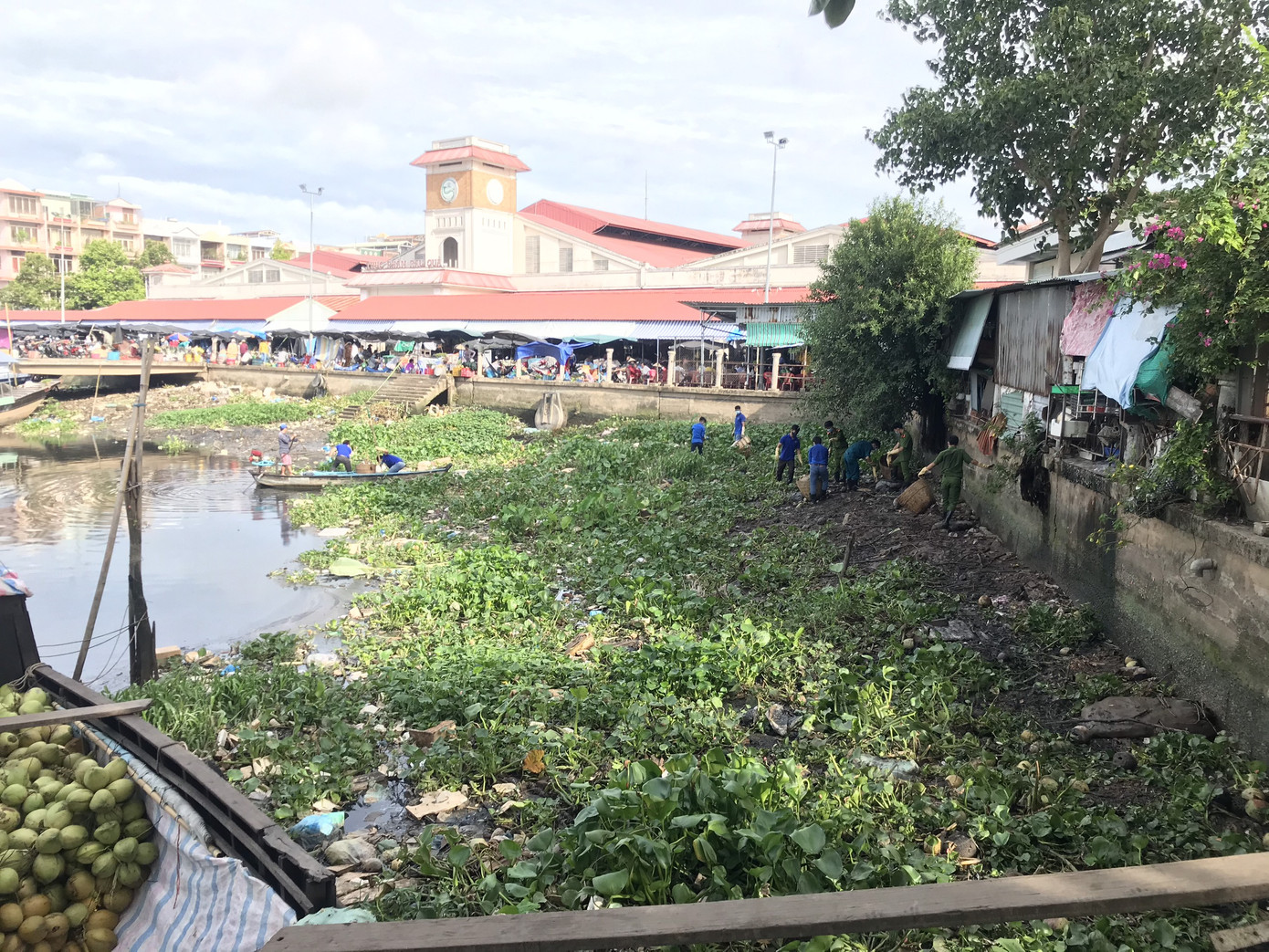 Cần Thơ ra quân bảo vệ môi trường ảnh 2