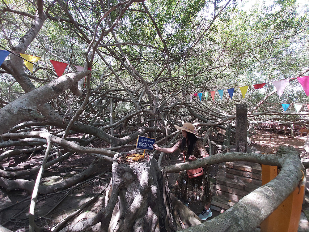 Giàn gừa 'độc nhất vô nhị' ở miền Tây ảnh 7