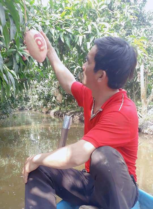 Trái cây tạo hình khan hiếm hàng phục vụ thị trường Tết ảnh 10