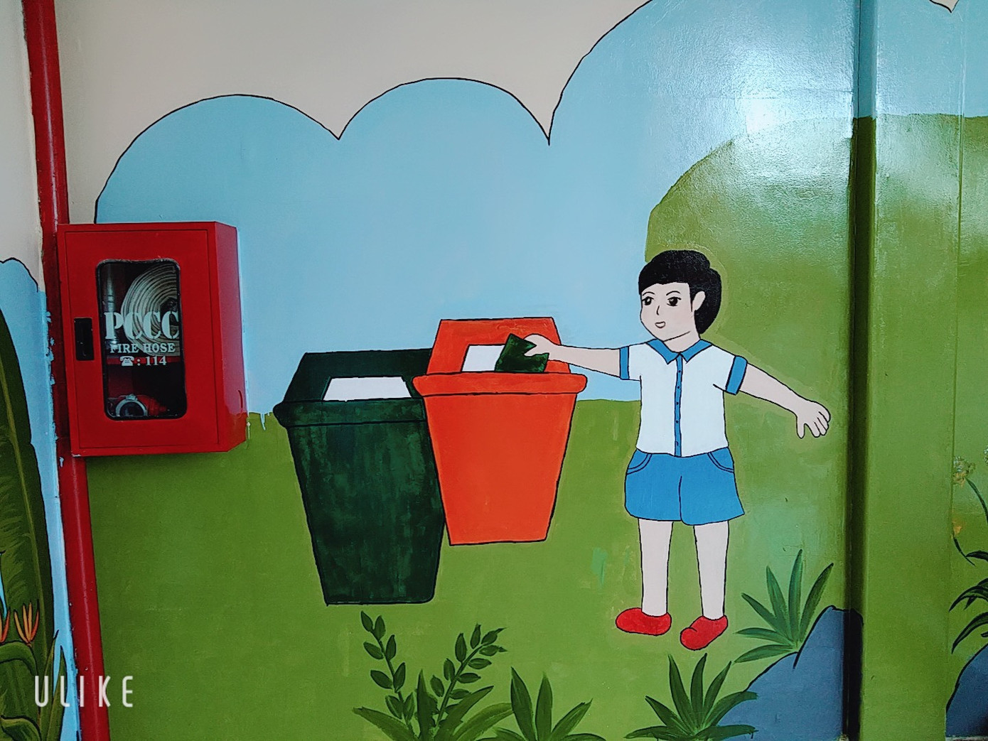 Biến tường cũ kỹ thành bức tranh sinh động đầy màu sắc ảnh 7