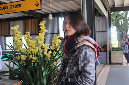 Đồng hương 'thần tiên tỉ tỉ” Đặng Thu Thảo dự thi hoa hậu Việt Nam 2020 ảnh 11