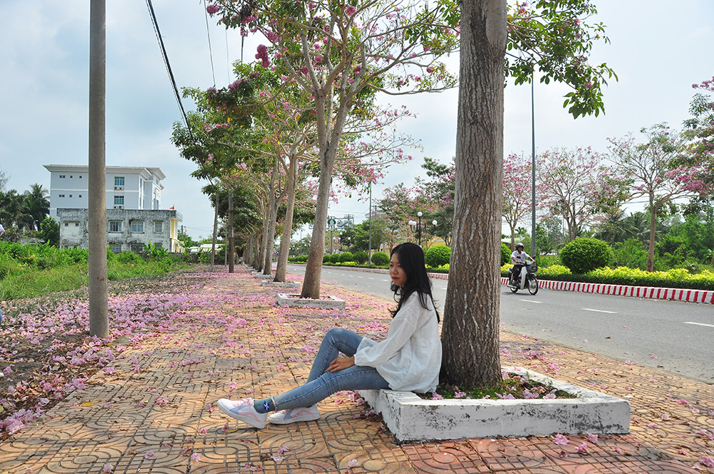 Con đường hoa kèn hồng ở miền Tây lung linh như phim Hàn thu hút giới trẻ ảnh 7