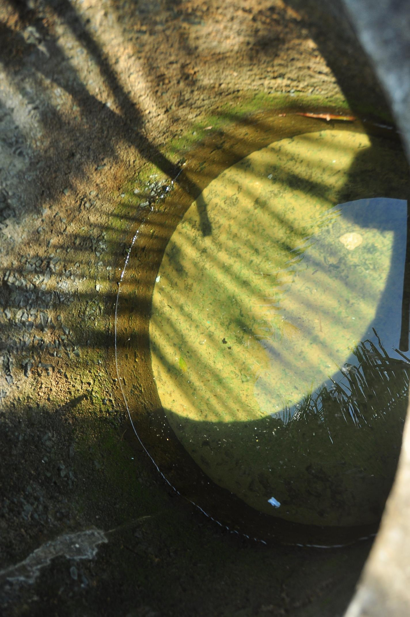 Cận cảnh người dân quay cuồng với hạn mặn khốc liệt chưa từng có ở ĐBSCL ảnh 10