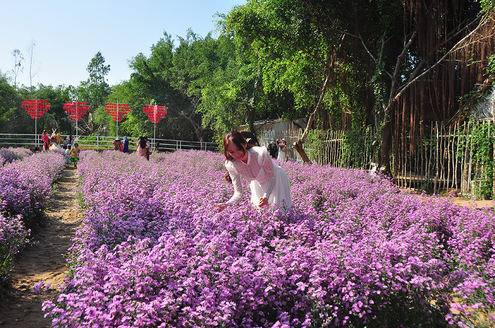 'Đà Lạt thu nhỏ' thu hút giới trẻ Tây Đô ảnh 7