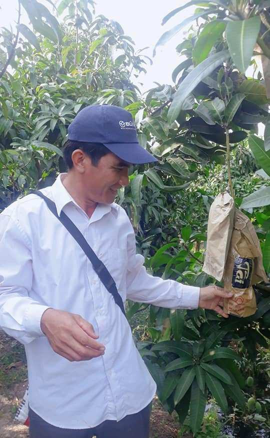 Trái cây tạo hình khan hiếm hàng phục vụ thị trường Tết ảnh 11